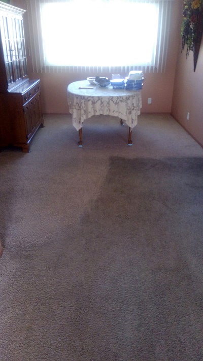 Carpet cleaning